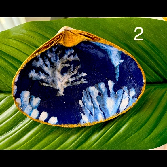 Handmade Decorative Shells - Picture 7 of 11